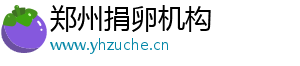 郑州捐卵机构	